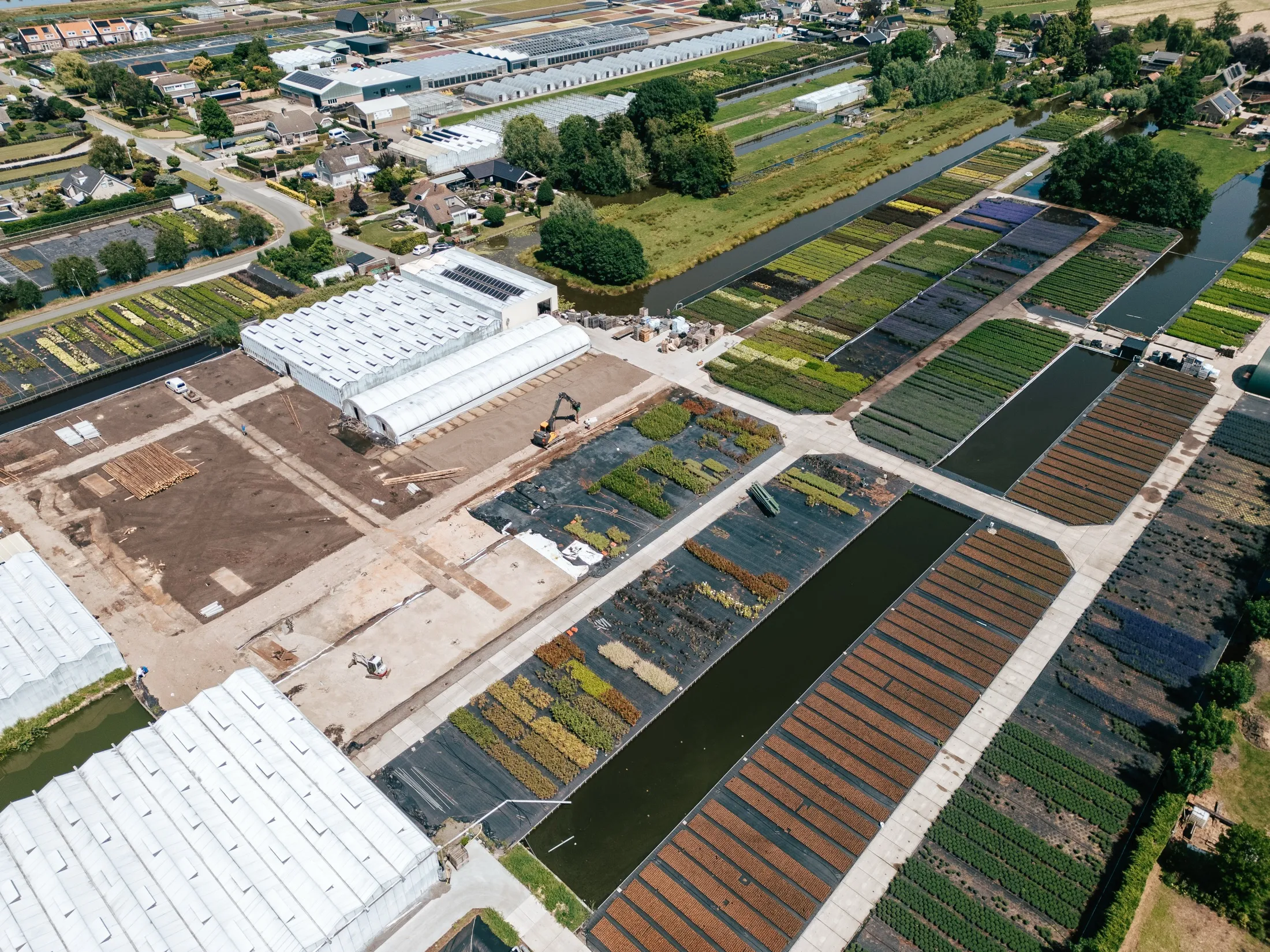 Containerveld bij Stolwijk Plants