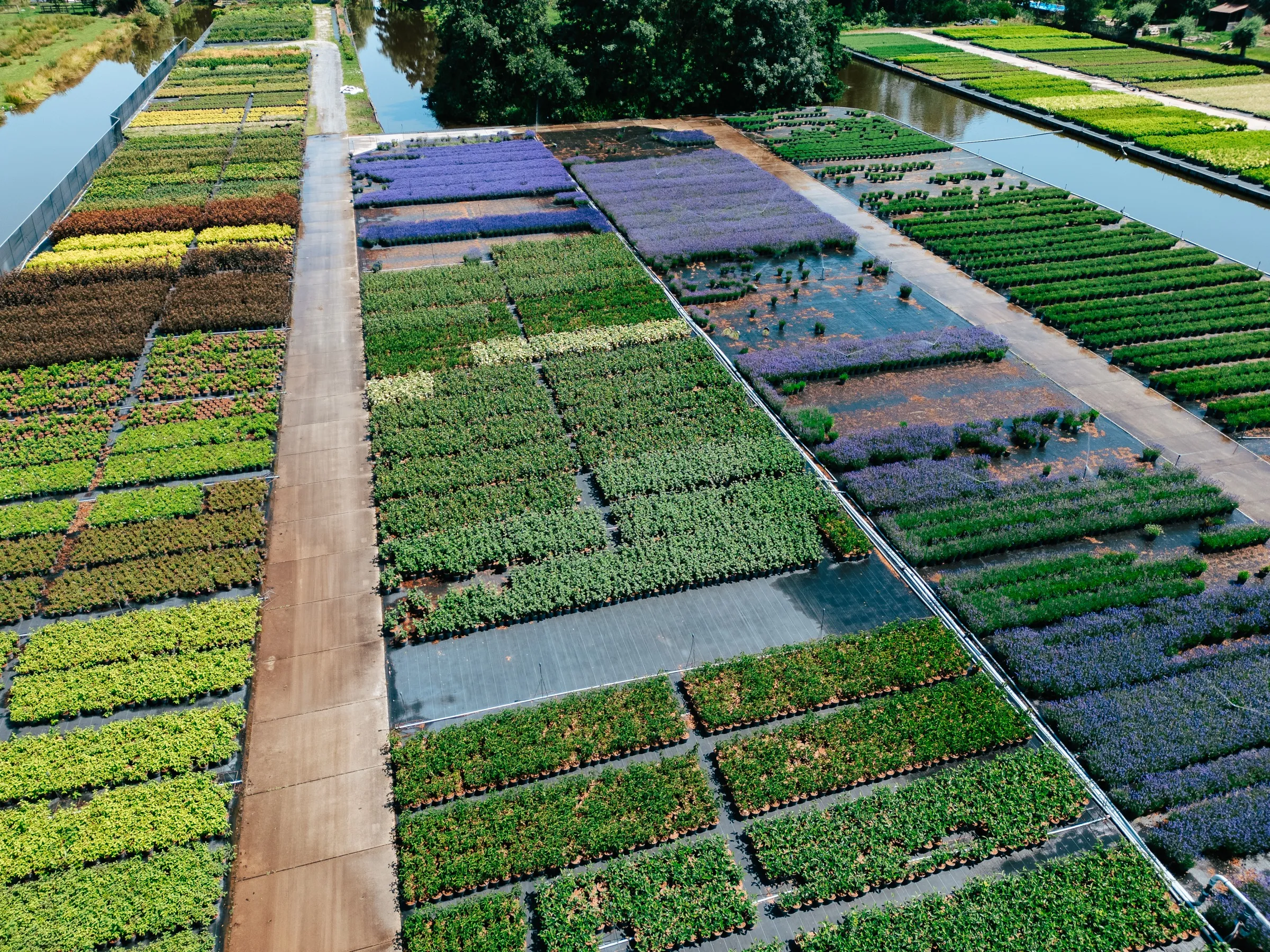 Dronebeeld van de velden van Stolwijk Plants
