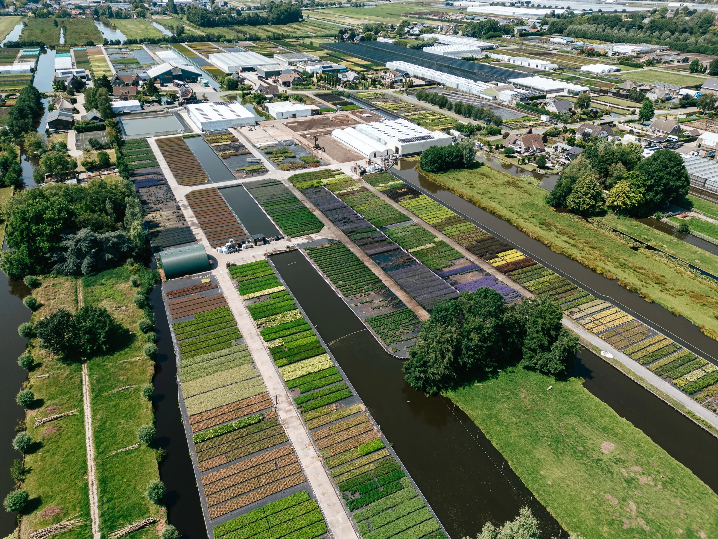 Dronebeeld van de kwekerij en velden in Reeuwijk