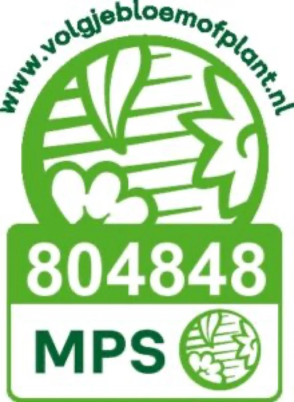 MPS ABC certificering Stolwijk Plants